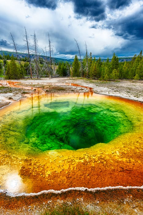 Two-Day Tour - Yellowstone National Park | Obsidian Expeditions