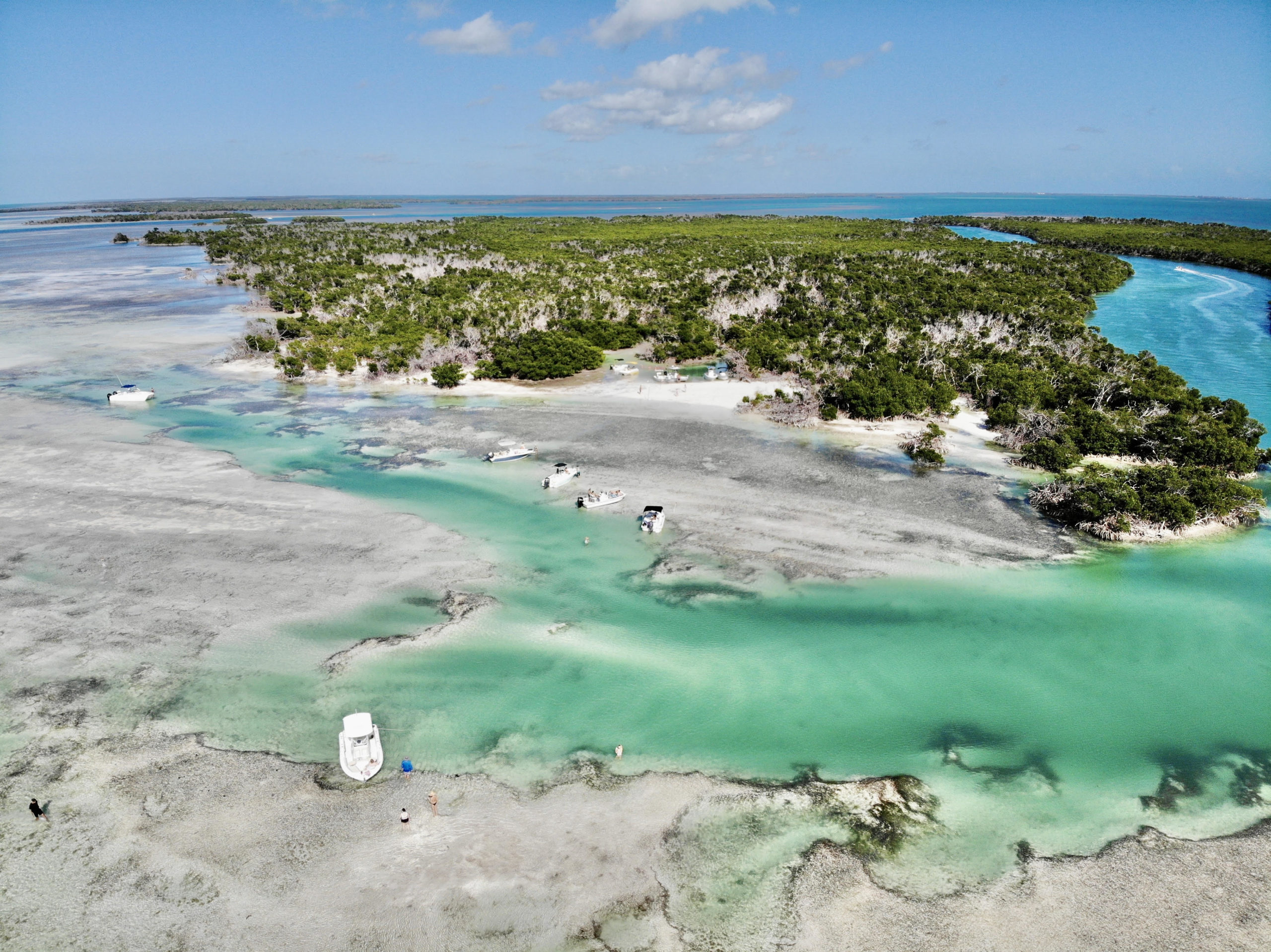 Top Sandbars In Key West How To Get There Sunset Watersports