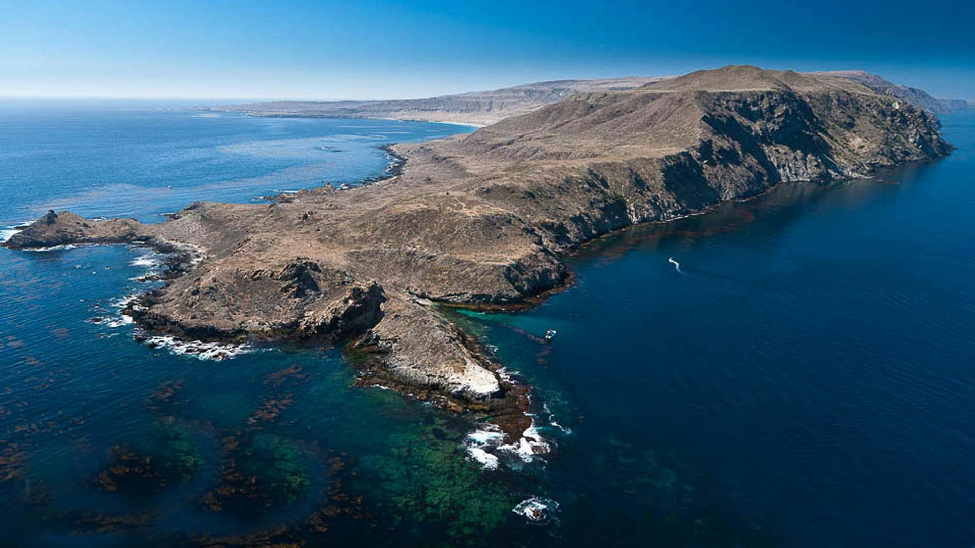 Discover the Hidden Gem: San Clemente Island