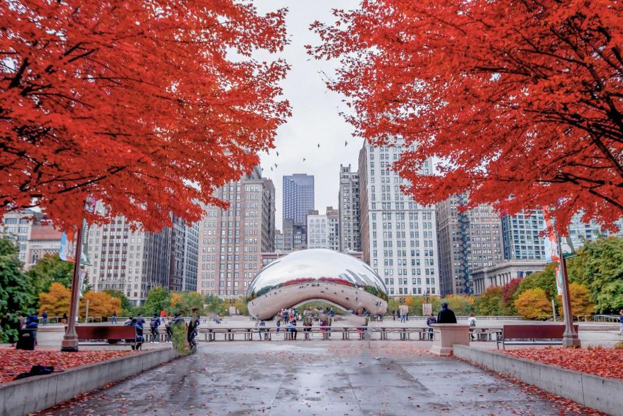 the bean chicago with red fall foliage