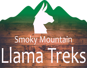 Smoky Mountain Llama Treks