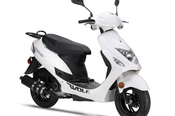 scooter-rental-1-person
