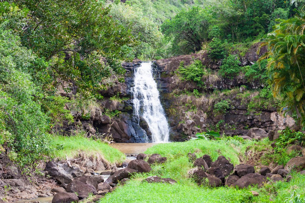 Waimea-Falls,-Waimea-Valley,-Oahu-Hawaii-Considerable-falls-only-in-wet-season.
