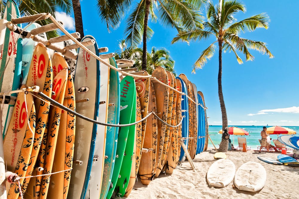 Surfboards-in-the-rack-at-Waikiki-Beach-Honolulu-Go-Tours