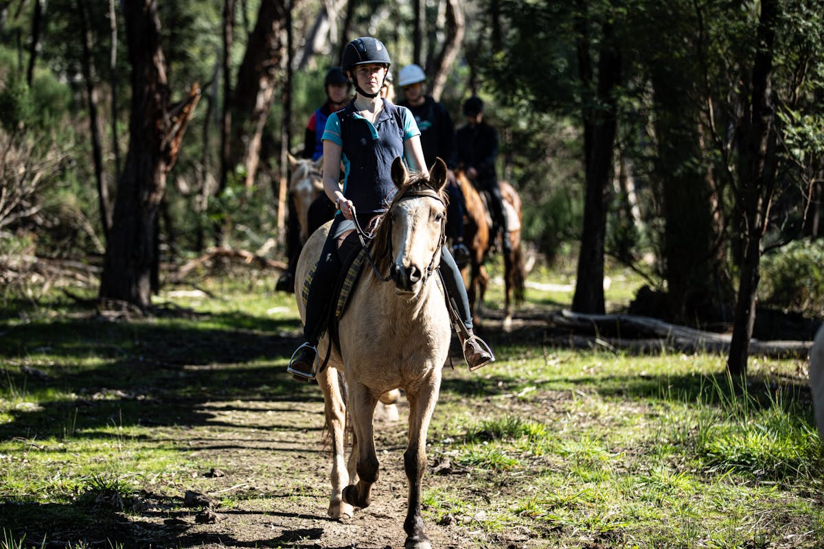 Corporate Horse Riding Boosts Team Building Near Torquay | Spring Creek ...