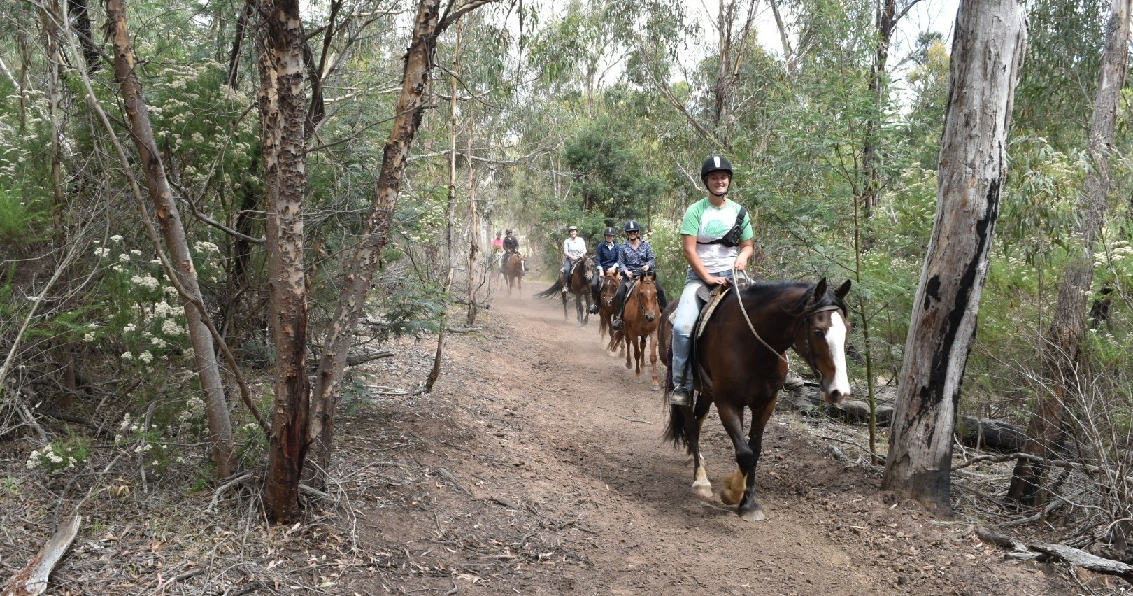 Two Hour Horse Trail Ride Torquay Spring Creek Horse Rides