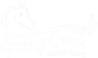 Spring Creek Horse Rides