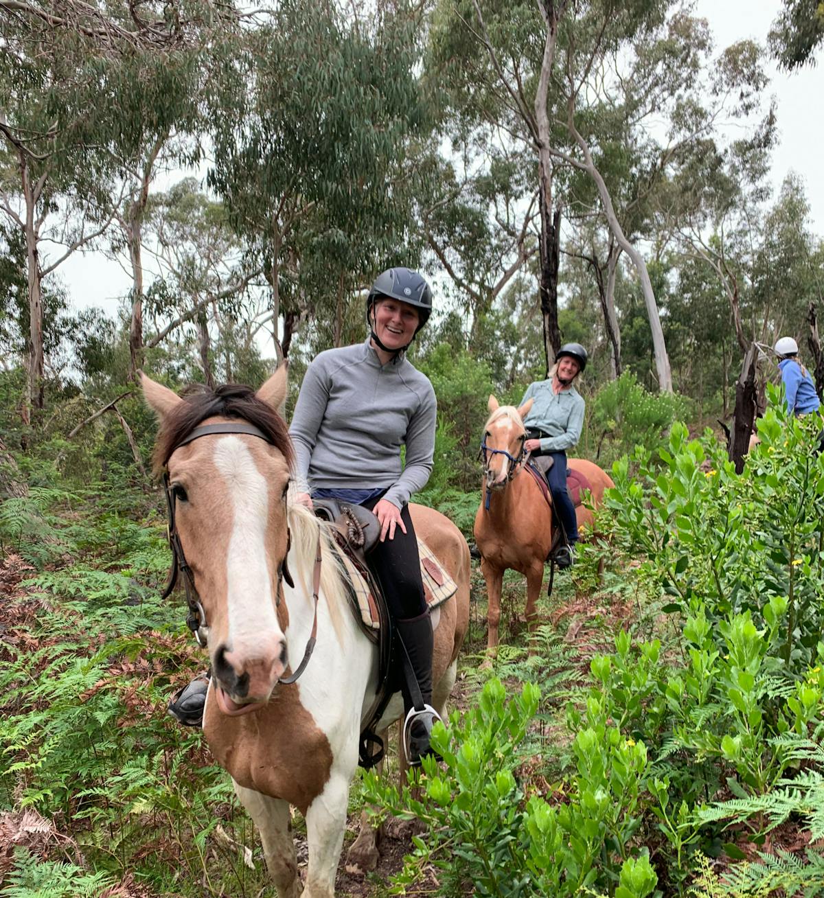 Christmas End Of Year Corporate Horse Rides Near Torquay | Spring Creek ...