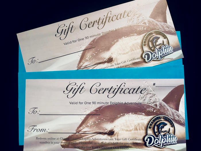 Gift Certificate, $10 Increments For Mini Mania, S