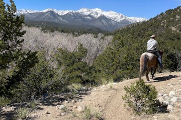 a brown horse standing on top of a mountain
