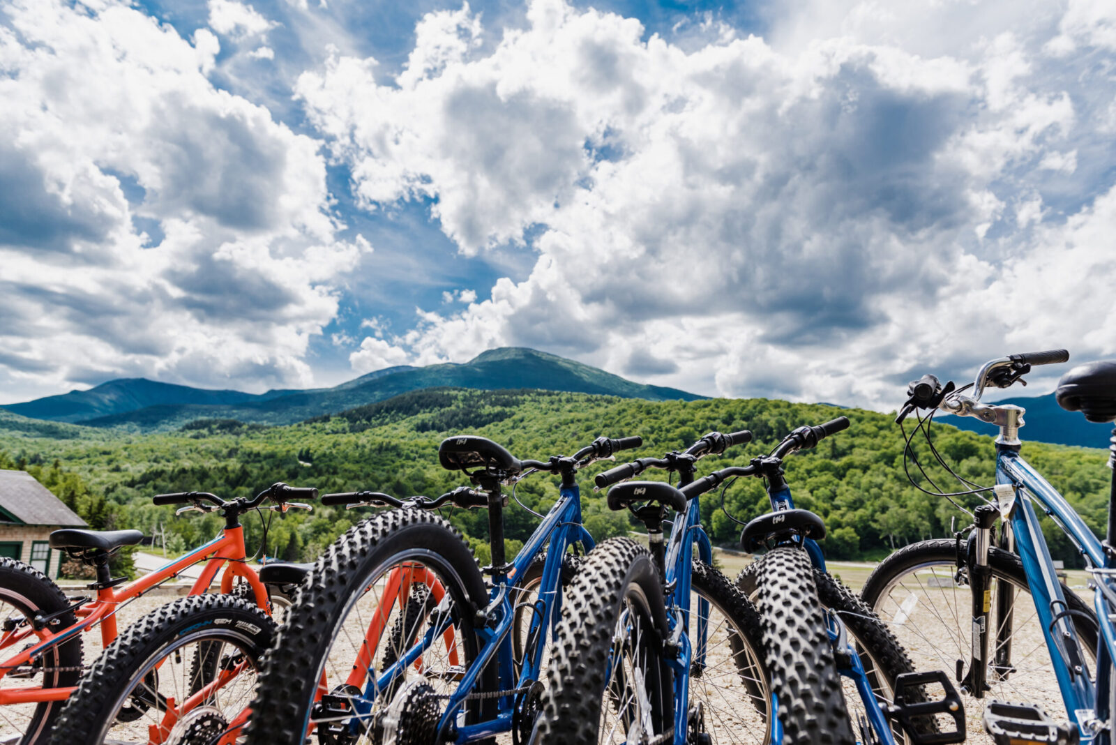 Mt. Washington Bike Rentals Great Glen Trails Outdoor Center