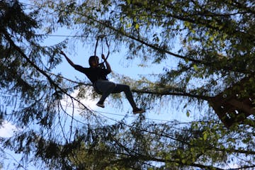 a man flying through the air on top of a tree