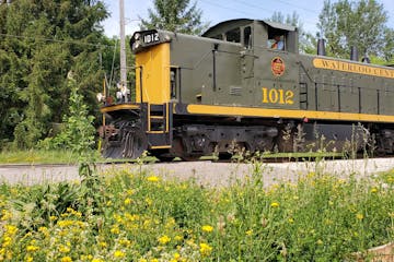 a train that is sitting in the grass