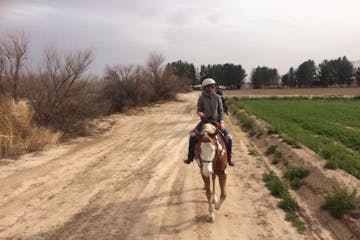 a man riding a horse on a dirt road
