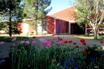 a colorful flower garden in front of a building