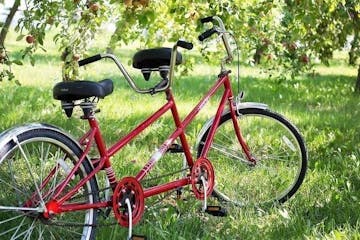 a bicycle parked on the grass