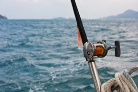 DEEP SEA FISHING FOR A CHRISTMAS GIFT?