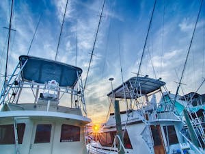 Fishing Charter Tips