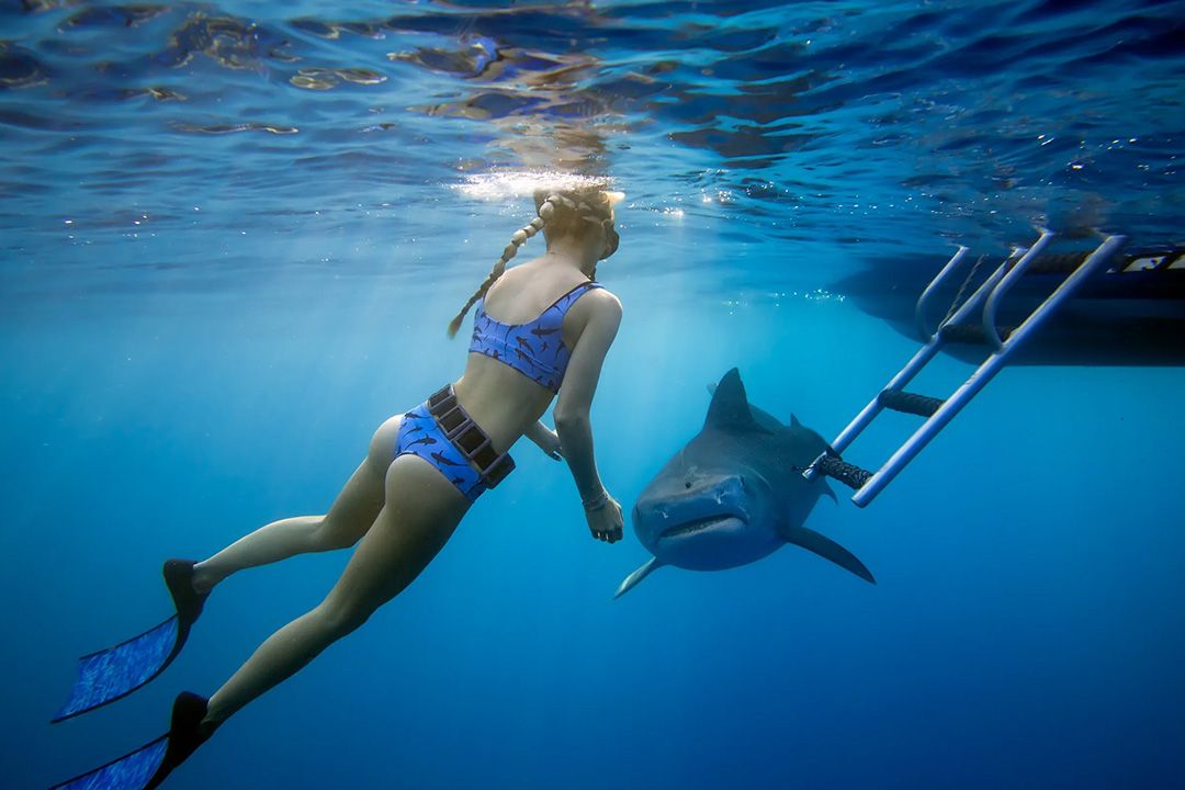 a woman swimming in the water with a shark 