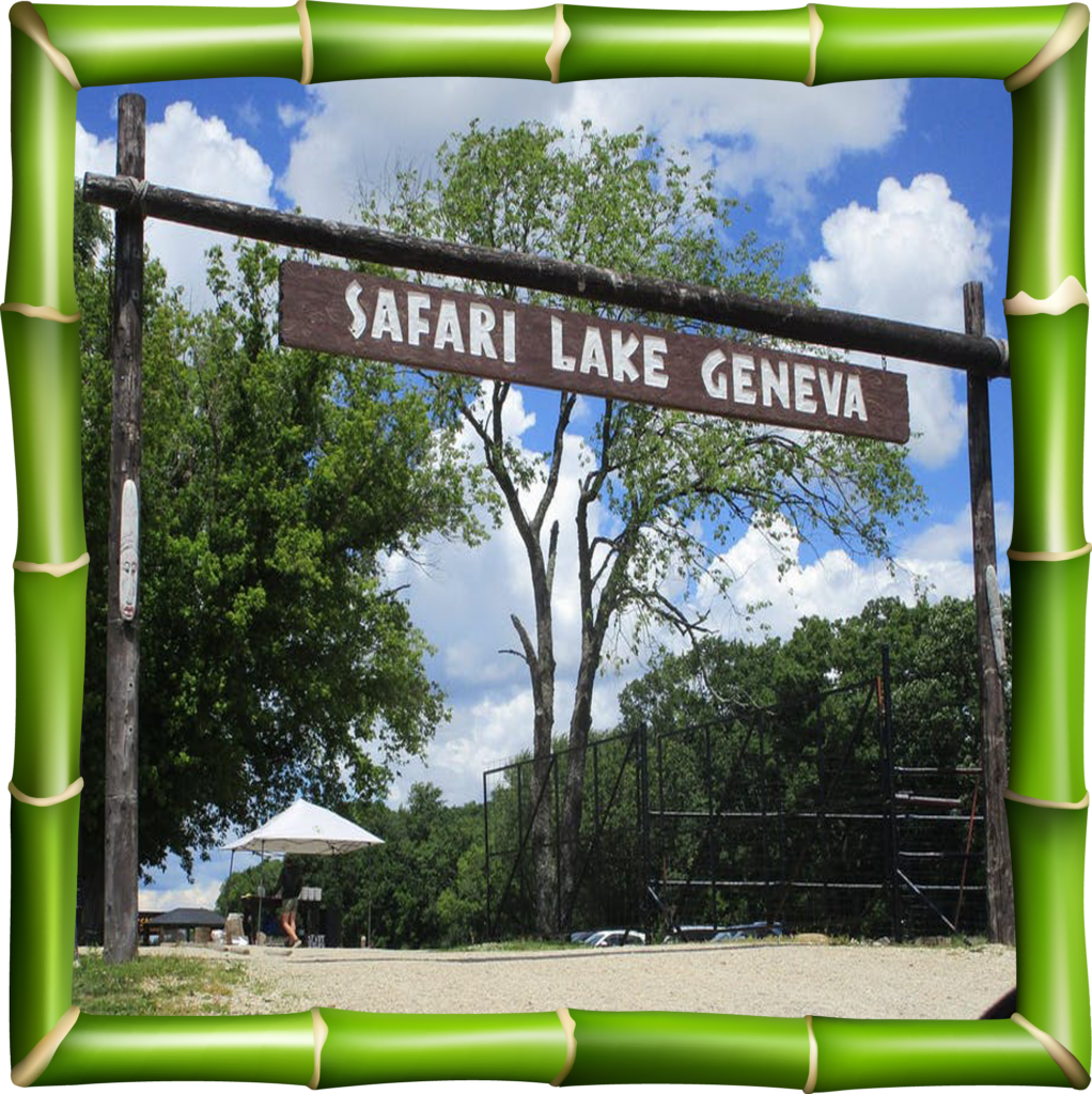 drive through safari adventure lake geneva