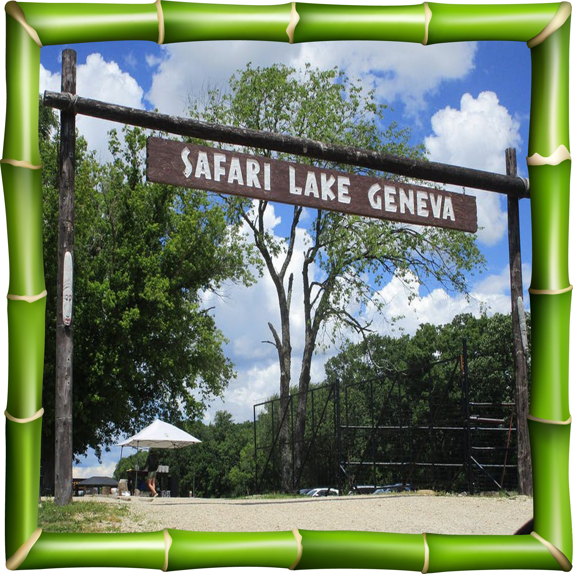 safari in lake geneva