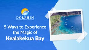Experience the Magic of Kealakekua Bay