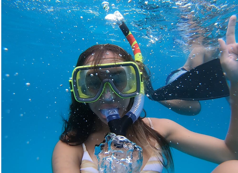 A Guide to Snorkeling on the Big Island | Dolphin Discoveries