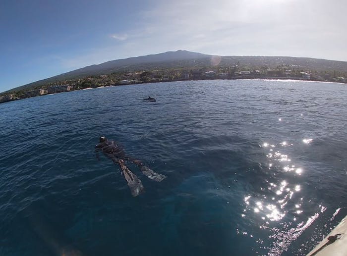 Find The Best Snorkeling Spots with Guided Snorkel Tours of Kona