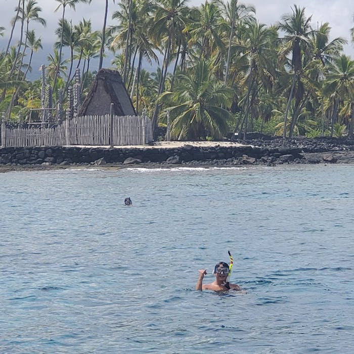 The 3 Best Snorkeling Spots In Kona