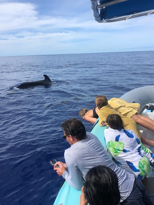 Book a Big Island Private Boat Charter to Cap Off Your Vacation