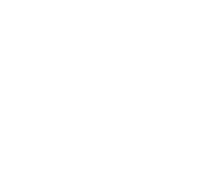 Reef N Beyond Eco Tours Lord Howe Island