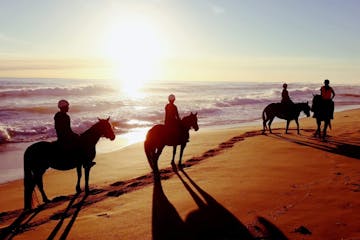 a group of people walking on a sandy beach next to the horse