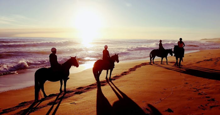 Twilight Beach Ride in St. Andrews | Gunnamatta Trail Rides