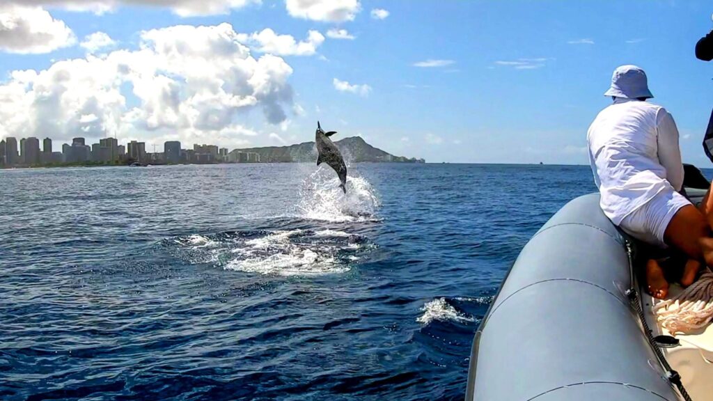 a man riding on a boat in Waikiki with a dolphin jumping out of the water