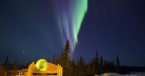 Northern Lights & Arctic Circle Tour | Alaska Wildlife Guide