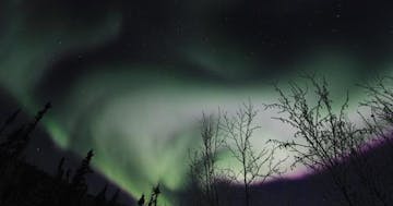 Lights & Murphy Dome | Alaska Wildlife Guide