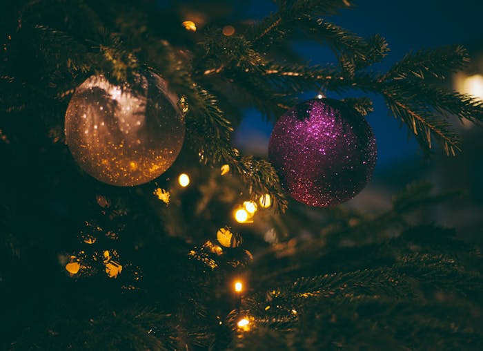 Mini Christmas Tree – Pam's Maine Wreaths