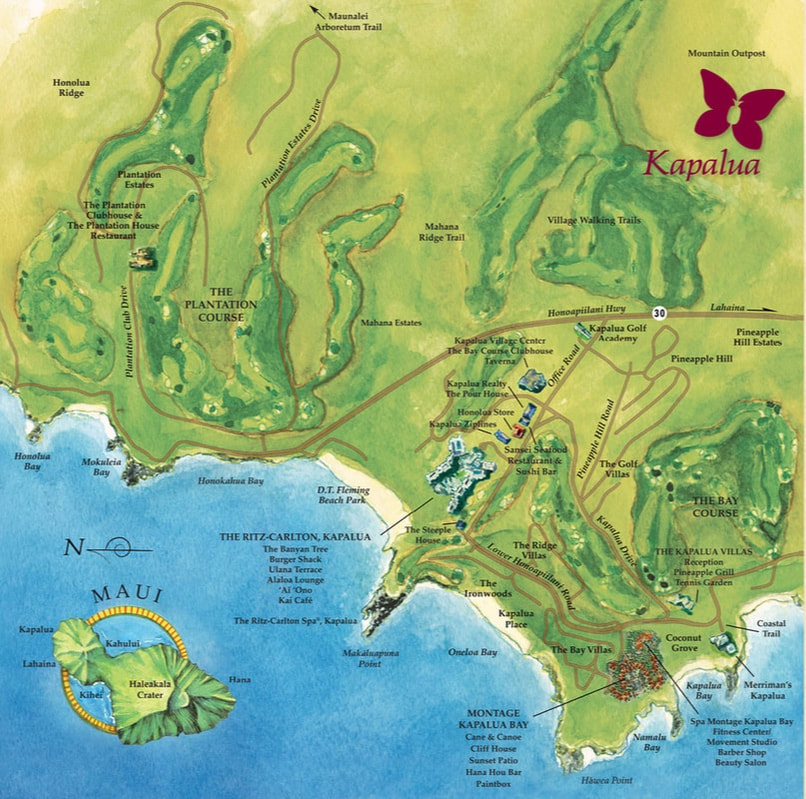 Kapalua Resort Map Q119 