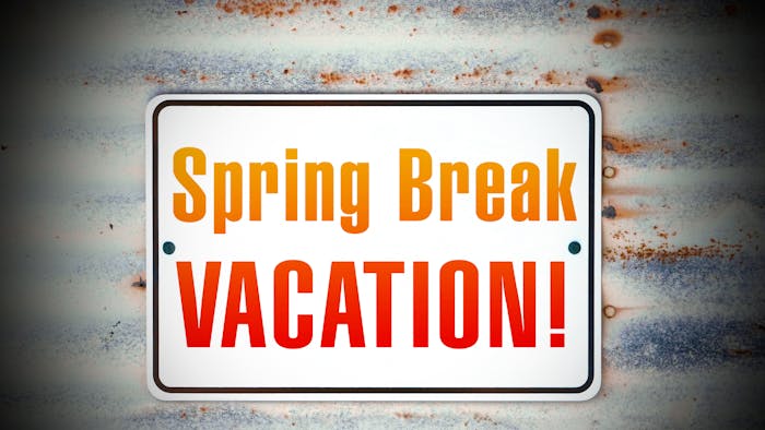 Unlocking the Ultimate College Spring Break| South Florida 2024