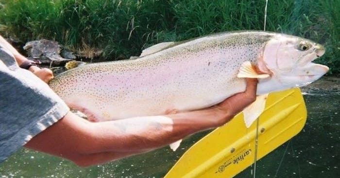 Arkansas River Fishing – Float
