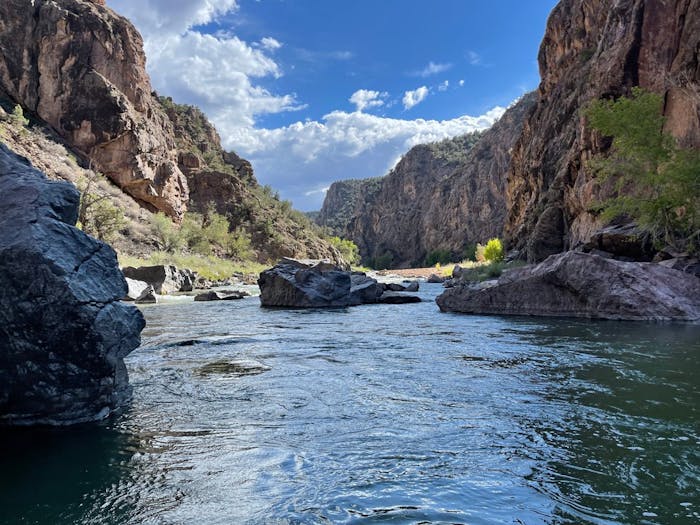 Your Guide to Gunnison River Fly Fishing in Colorado