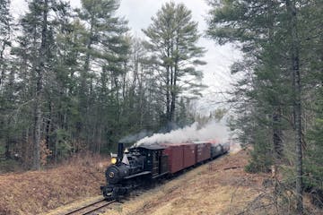 a steam train traveling down train tracks near a forest