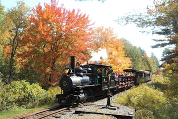 a train traveling down train tracks in Maine fall foliage
