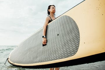 Paddle Board Rentals