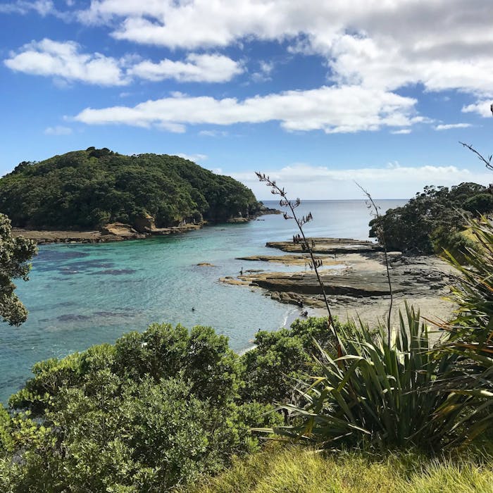 goat-island-marine-reserve-leigh-nz-clearyak