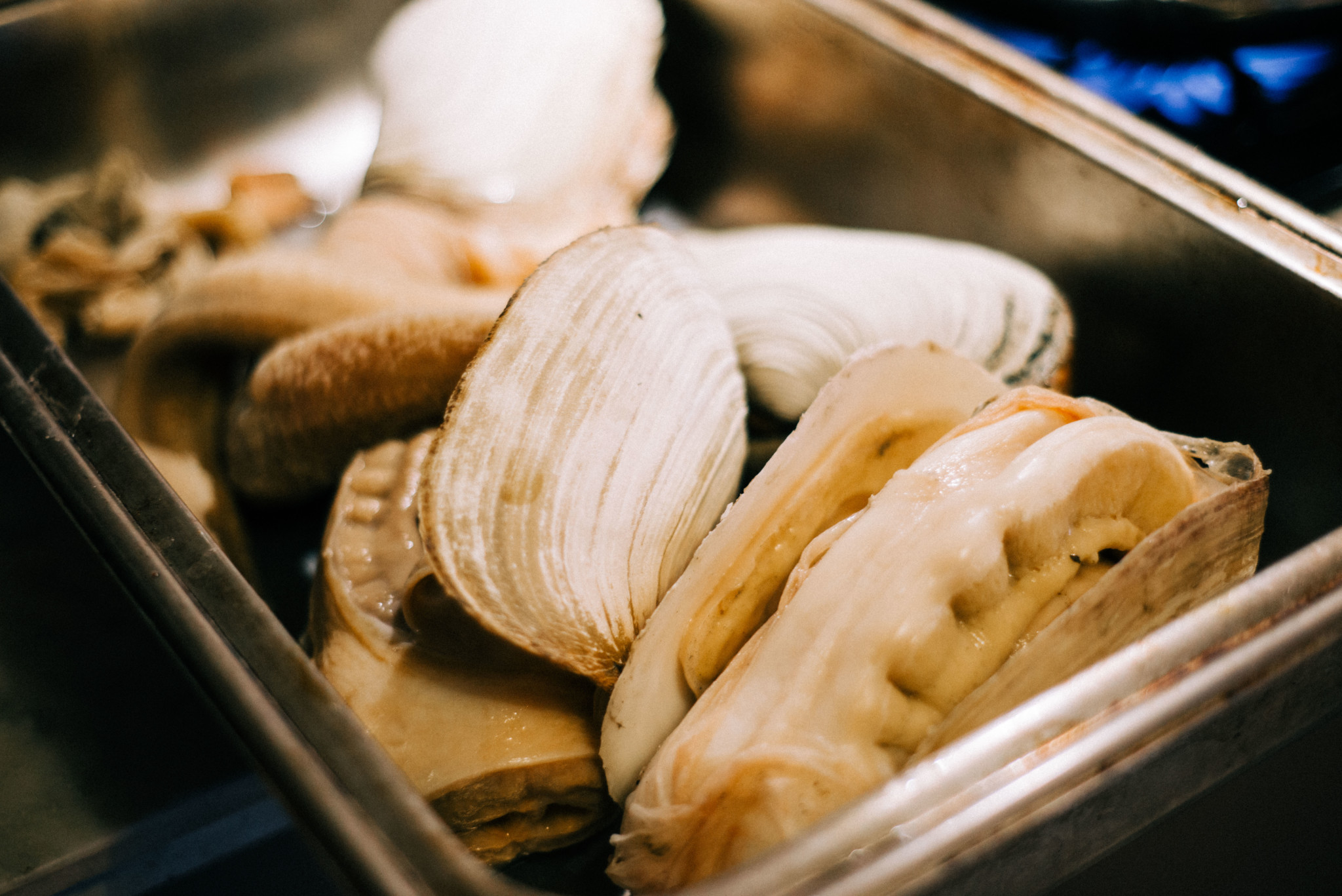 Geoduck eating deals