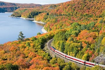 a train traveling down tracks next to a body of water surrounded by trees