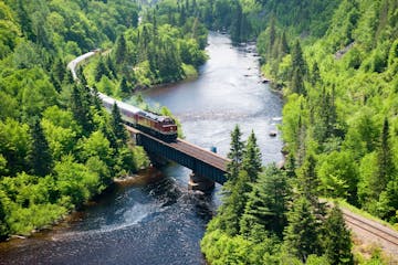 a train crossing a bridge over a river in a forest