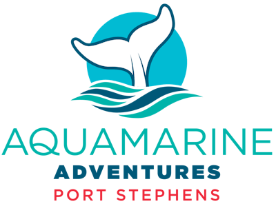 Aquamarine Adventures | Small Group Eco-Cruising Port Stephens