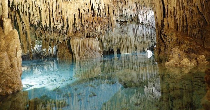 Cenotes and Paradise Lagoon - Akumal | Viajes Tours Maya